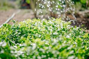 Monte Gois Country House e Spa