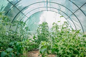 Monte Gois Country House e Spa