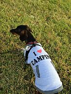 Enduro RV Citrus Valley Resort