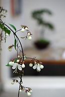 CaoJi Book inn Hostel