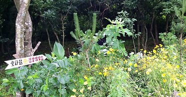 Gotjawal Geomun Oreum Pension