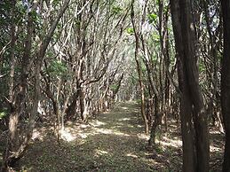 Guesthouse Setone Jyuuan