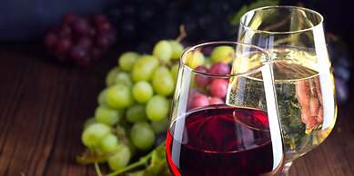 Hakuba Ryujin Onsen RYOKAN SUI