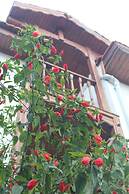 Silenos Boutique Hotel