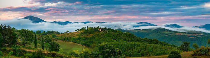 Agriturismo Il Beccafico Alpaca