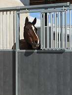 Flyingehus Gårdshotell