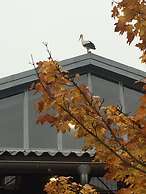 Flyingehus Gårdshotell