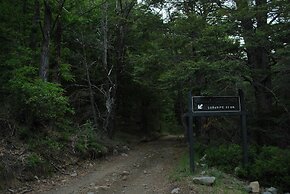 Casa Alto Palguin Pucón