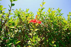 Kiriana Villa by LeaderStay