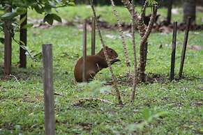 Calico Jack's Village