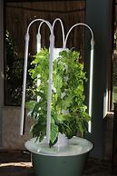 Calico Jack's Village