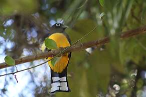 Calico Jack's Village