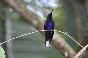 Calico Jack's Village