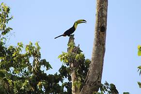 Calico Jack's Village