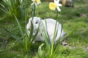 Skortskær Bondegårdsferie