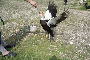 Skortskær Bondegårdsferie