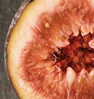 Bianca's House Hotel Heathrow Airport