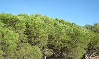 Studio in Llafranc - 104755 by MO Rentals