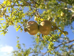 Agroturismo Can Prats