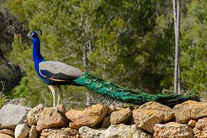 Agroturismo Can Prats