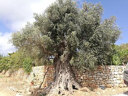 Agroturismo Can Prats