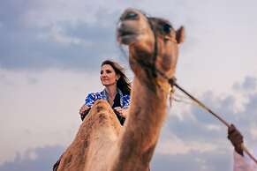 Thousand Nights Camp