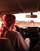 Thousand Nights Camp