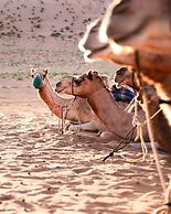Thousand Nights Camp