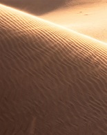 Thousand Nights Camp