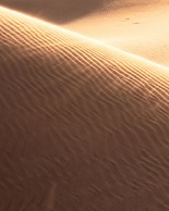 Thousand Nights Camp