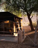 Thousand Nights Camp