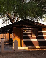 Thousand Nights Camp