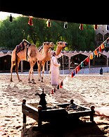 Thousand Nights Camp