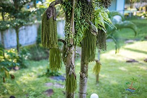 Koh Kood Garden House