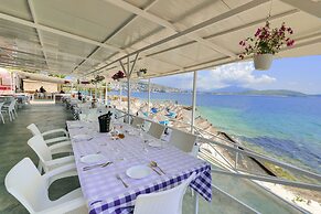 Oceanic Overview Suites