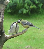 Crinan Canal Cottage No8, Kilmartin