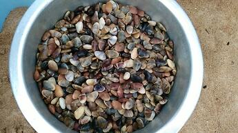 D'Pantai Homestay Kuala Sg. Baru