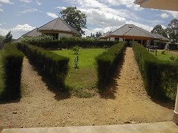 The Crested Crane Bwindi