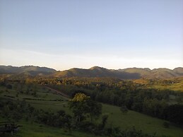 The Crested Crane Bwindi