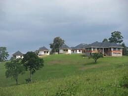 The Crested Crane Bwindi