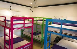 Summer Guesthouse & Hostel