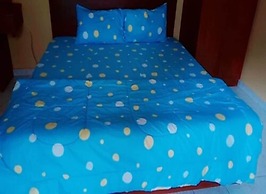 Ann Homestay Villa 893