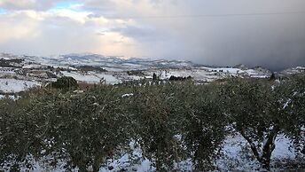 Bed House Floristella