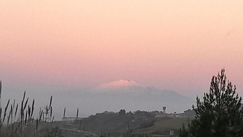 Bed House Floristella