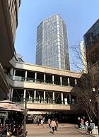 Chongqing White Cloud Boutique Hotel