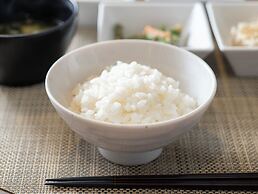 Super Hotel Premier Musashi Kosugi Ekimae