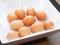 Super Hotel Premier Musashi Kosugi Ekimae