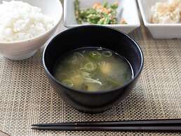 Super Hotel Premier Musashi Kosugi Ekimae