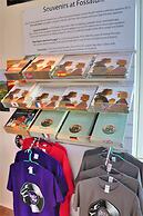 Fossatún Sunset Cottage