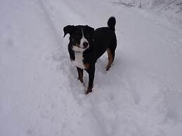 Hammarstrands Camping, Stugby och Fiske